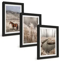 BILDER SET 3er Set - 20x30 cm Schwarzer Rahmen - Pferde, Landschaft, Gras, Bach