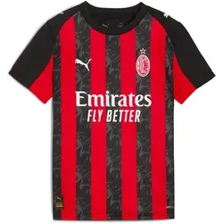 PUMA Kinder Trikot AC Milan Heim, Größe 116 in Grau Grau