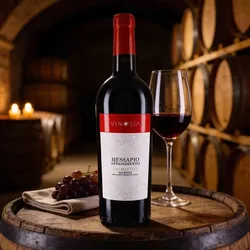 Vinosia 2022 Vinosia Messapio Appassimento Primitivo 2022 Primitivo  Italien