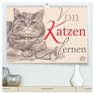 Von Katzen lernen (hochwertiger Premium Wandkalender 2027 DIN A2 quer), Kunstdruck in Hochglanz