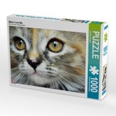 CALVENDO Puzzle Maine Coon Mix 1000 Teile Lege-Größe 64 x 48 cm Foto-Puzzle Bild von Jennifer Chrystal