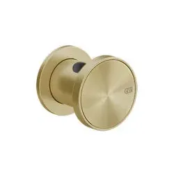 Gessi Origini Fester Brausehalter, Wandmontage, 66157727, Farbe: Messing gebürstet PVD