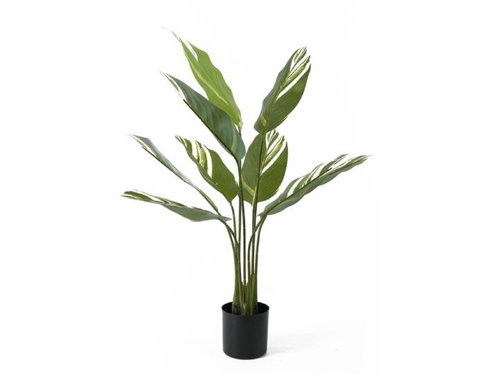Present Time Kunstplant Calathea - Groen - 63x63x90cm - Modern