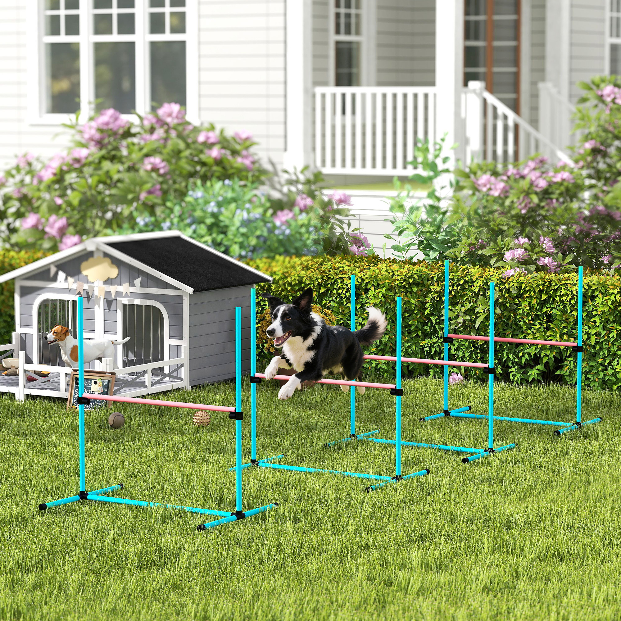 Pawhut Set Agility per Cani 4 pezzi regolabile con 4 ostacoli, 99x65x94 cm, Azzurro chiaro   Aosom Italy