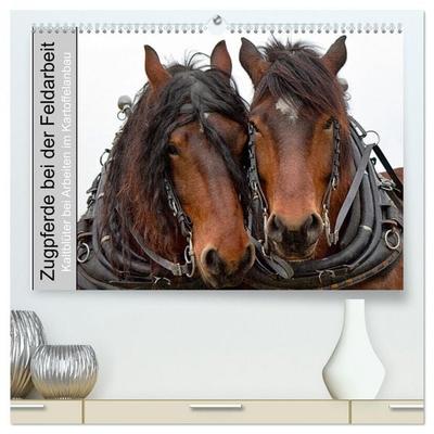 Zugpferde bei der Feldarbeit (hochwertiger Premium Wandkalender 2026 DIN A2 quer), Kunstdruck in Hochglanz