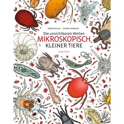 Die unsichtbaren Welten mikroskopisch kleiner Tiere, Gebundene Ausgabe von Hélène Rajcak,Damien Laverdunt, Verlagshaus Jacoby & Stuart,