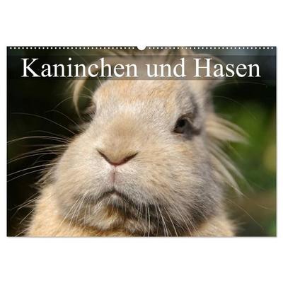 Kaninchen und Hasen (Wandkalender 2027 DIN A2 quer), CALVENDO Monatskalender
