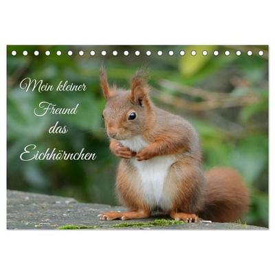 Mein kleiner Freund das Eichhörnchen (Tischkalender 2027 DIN A5 quer), CALVENDO Monatskalender