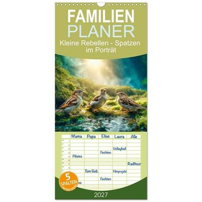Familienplaner 2027 - Kleine Rebellen - Spatzen im Porträt mit 5 Spalten (Wandkalender, 21 x 45 cm) CALVENDO
