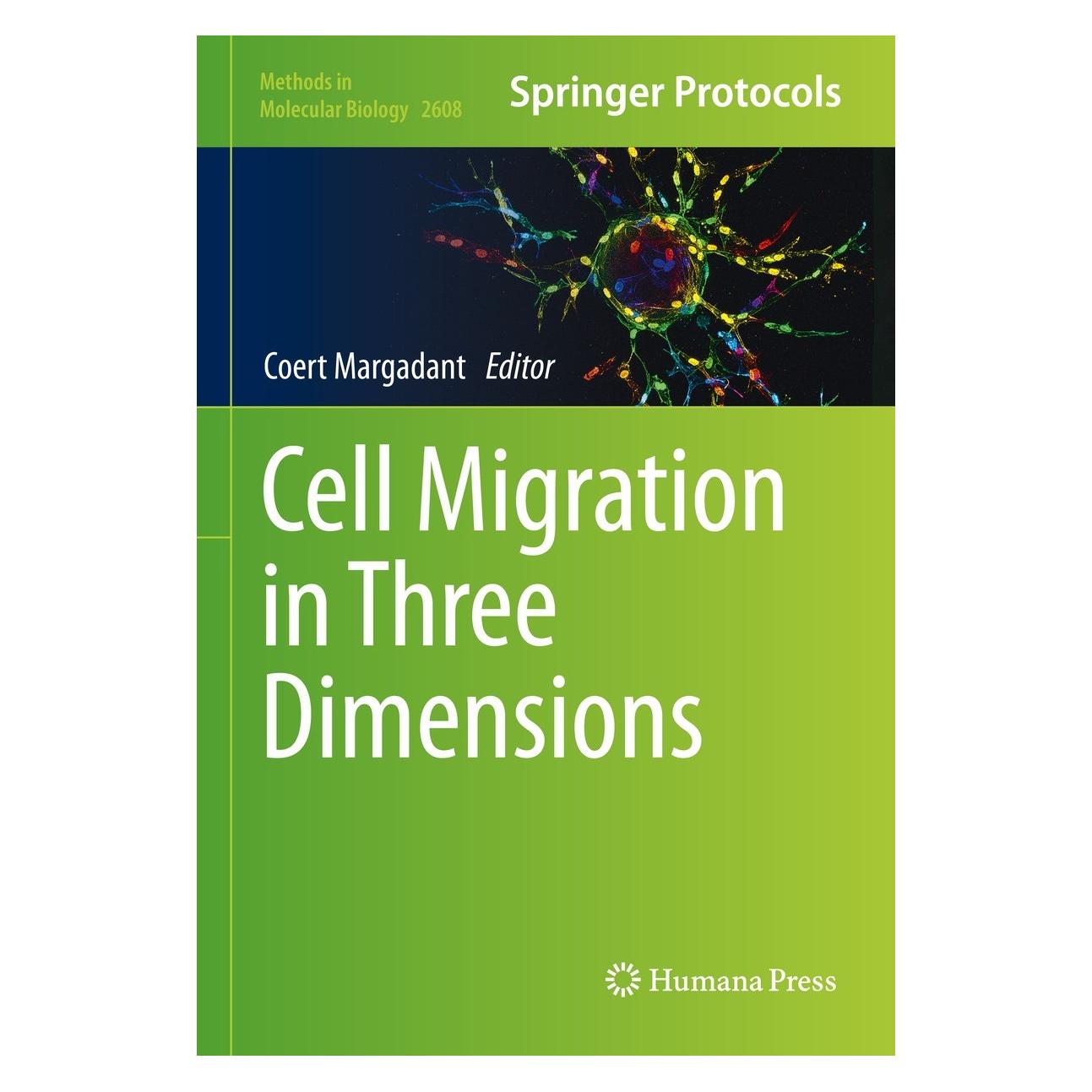 Springer Cell Migration in Three Dimensions (Englisch, Hardcover, Coert Margadant) (9781071628867)