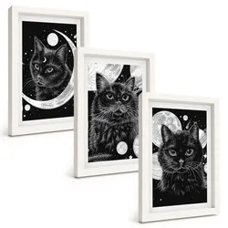 BILDER SET 3er Set - 20x30 cm Weißer Rahmen - Schwarze Katzen, Mond, Weltraum