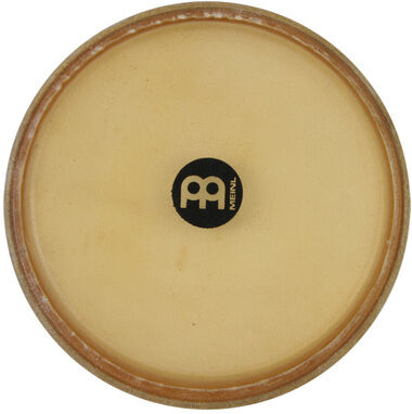 Meinl HHead12C