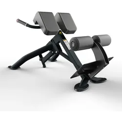 Odin PRO Back Extension Bench