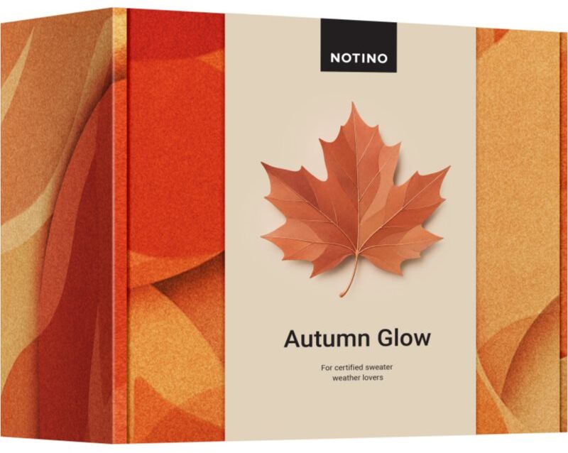 Beauty Beauty Box Notino – Autumn Glow gift set W