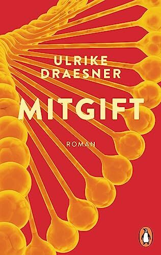 Ulrike Draesner - Mitgift: Roman – Ausgezeichnet mit dem Preis der Literaturhäuser - Preis vom 11.10.2026 15:43:13 h