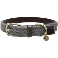 Kentucky Dogwear Hundehalsband geflochten (M, Hund, Allgemein, Spazieren), Halsband + Leine