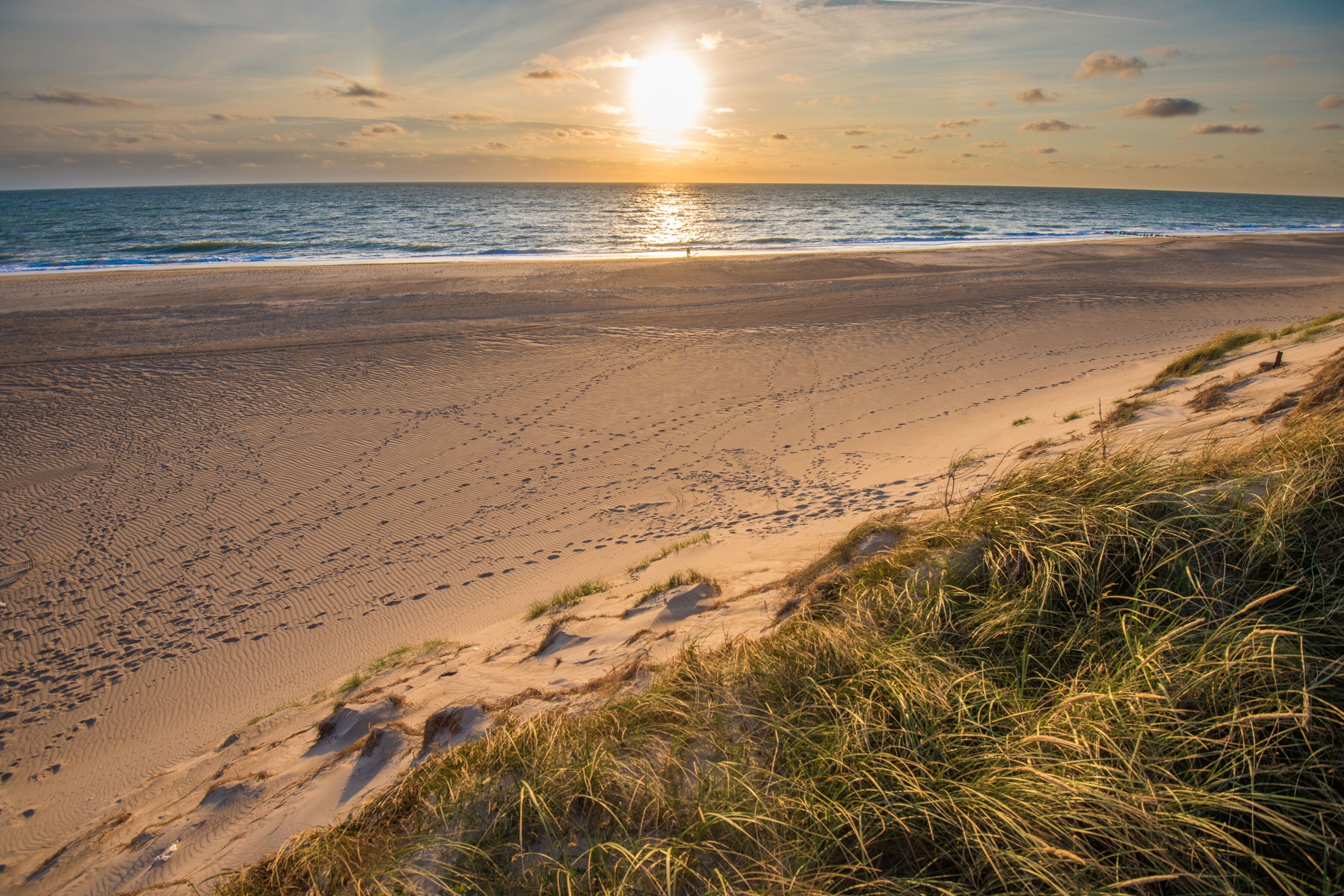 Fototapete PAPERMOON "Dunes Beach Jutland", bunt, B:4m L:2,6m, Vlies, Tapeten, Fototapete bunt B/L: 4m x 2,6m, Bahnen: 8 Stk.