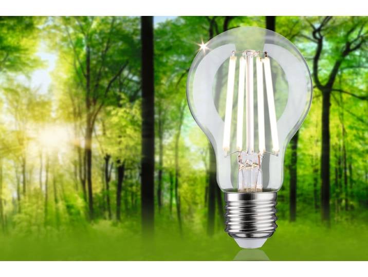 Ampoule LED Ø 6cm Transparent