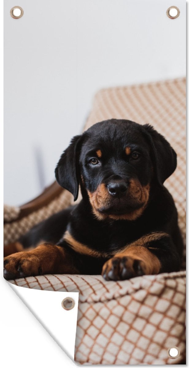 Tuinposter met Rottweiler puppy op een stoel - Tuindecoratie voor buiten - Breedte: 100 cm, Hoogte: 200 cm