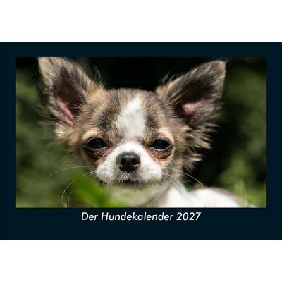 Der Hundekalender 2027 Fotokalender DIN A5