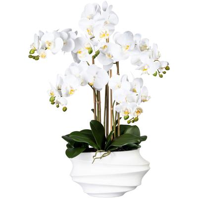 Kunstorchidee CREATIV GREEN "Phalaenopsis", weiß, H:75cm, Kunststoff, Kunstpflanzen, in Design-Kunststoffvase