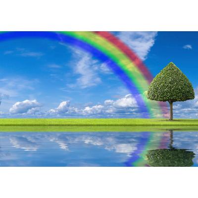 Fototapete PAPERMOON "regenbogen Wiese", bunt, B:3m L:2,23m, Vlies, Tapeten