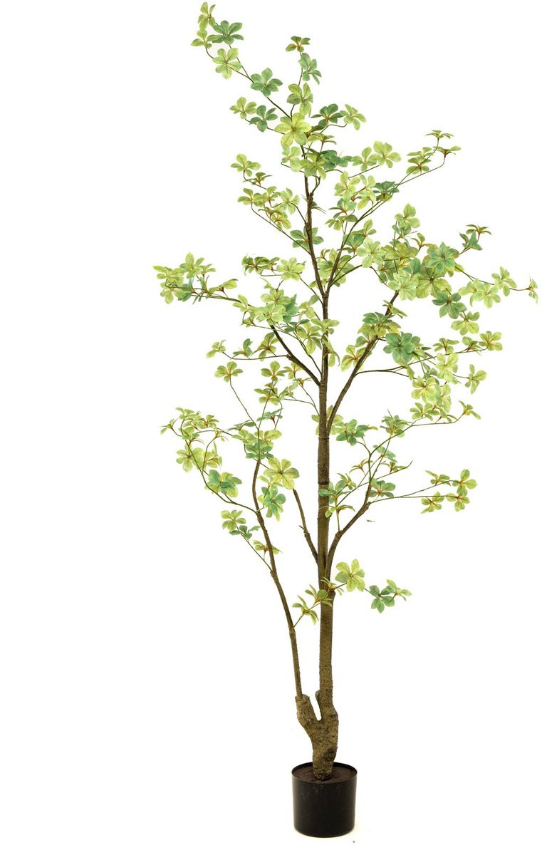 Emerald Kunstboom Tropaeolum - Kunstplant voor binnen - 185 cm