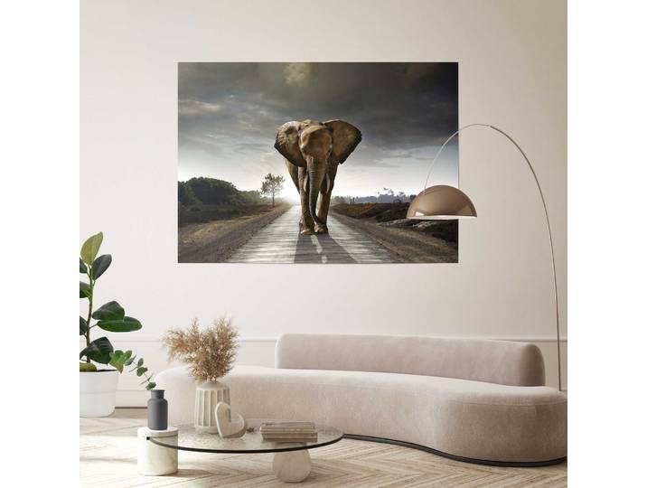 Poster Giant XXL Roi des éléphants Matériau : Papier Motif : Animal Marron/Marron 100 x 140 x 0cm