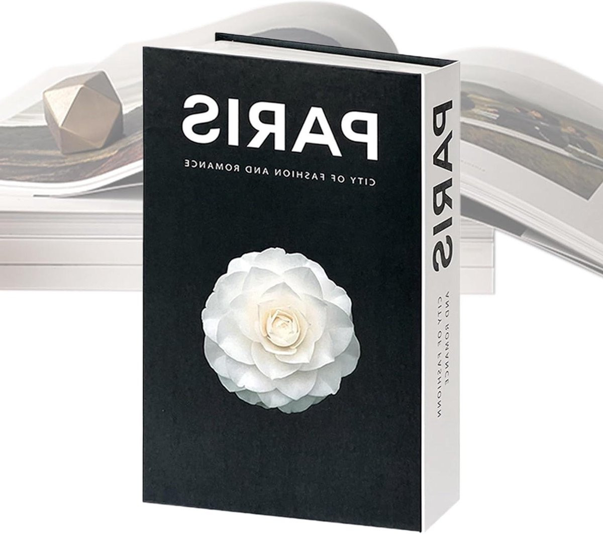 Geheim Boek Nepspeerboek Opslag Parijs - B/D/H: 27 x 18 x 5 cm