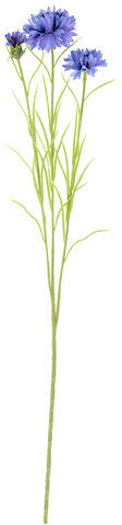 Kornblumen, blau, 65 cm