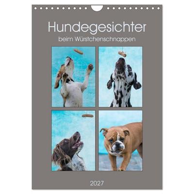 Hundegesichter beim Würstchenschnappen (Wandkalender 2027 DIN A4 hoch), CALVENDO Monatskalender