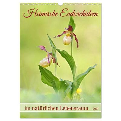 Heimische Erdorchideen im natürlichen Lebensraum (Wandkalender 2027 DIN A3 hoch), CALVENDO Monatskalender