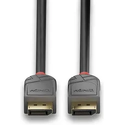 Lindy DisplayPort 1.2 Cable Anthra Line (10 m), Videokabel, Schwarz