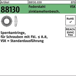 Sperrkantring R 88130 VSK 10x18,1x1,8 Federstahl zinklamellenb. 500St.