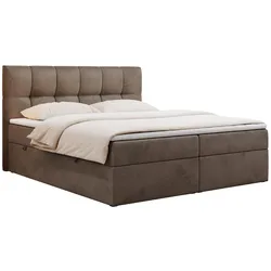 BOXBETT RICO 160/200 Braun Velvet - H3