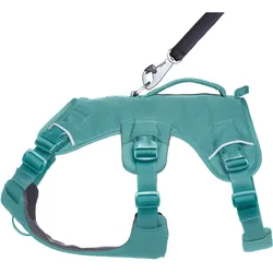 Ruffwear Web Master (XXS, Hund), Halsband + Leine