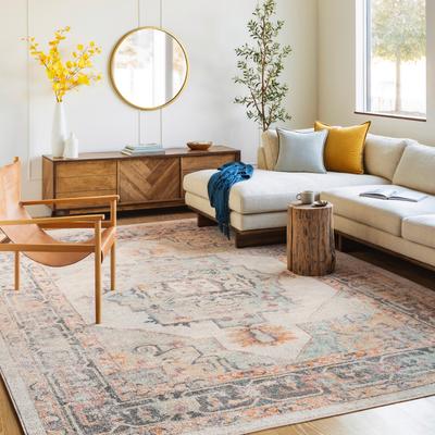 Livabliss Hari Vintage Persian Area Rug