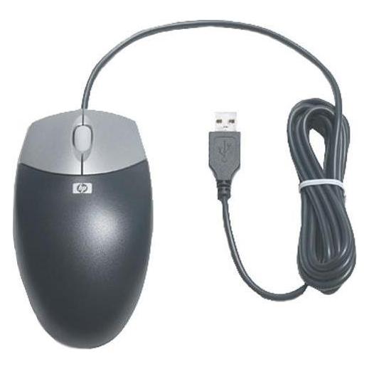 HP DC172B, Maus, 2 Button Optical, USB (Kabelgebunden) (DC172B)