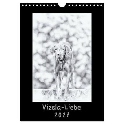Vizsla-Liebe (Wandkalender 2027 DIN A4 hoch), CALVENDO Monatskalender