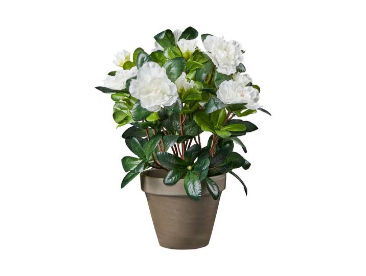 Mica Künstliche Azalee Weiss Topf Grau 20 × 27 cm