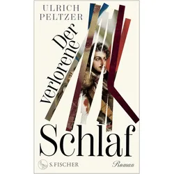 Der verlorene Schlaf, Belletristik von Ulrich Peltzer