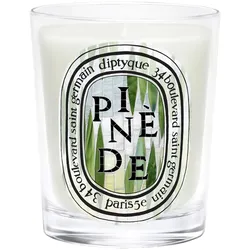190g diptyque Pinède Classic Candle