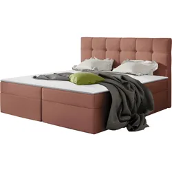 BOXBETT Nele - H3