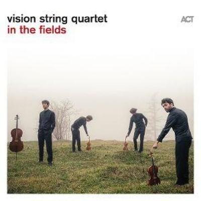 In The Fields (Digipak) - Vision String Quartet, CD