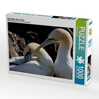 CALVENDO Puzzle Basstölpel, Bass Rock | 1000 Teile Lege-Größe 64x48cm Foto-Puzzle für glückliche Stunden