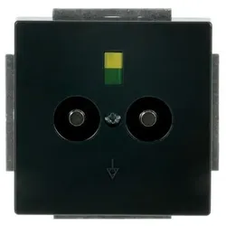 Busch-Jaeger Potentialausgleich anth 2095 UC-81