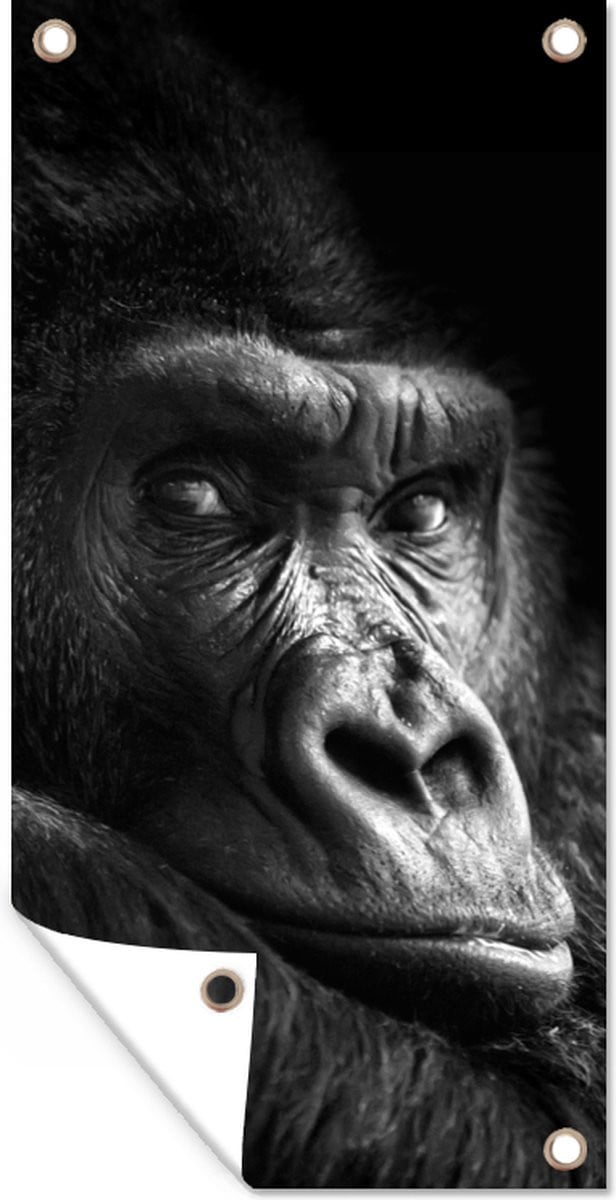 Tuindecoratie Gorilla Aap Poster - Zwart en Wit - B: 80 cm, H: 160 cm
