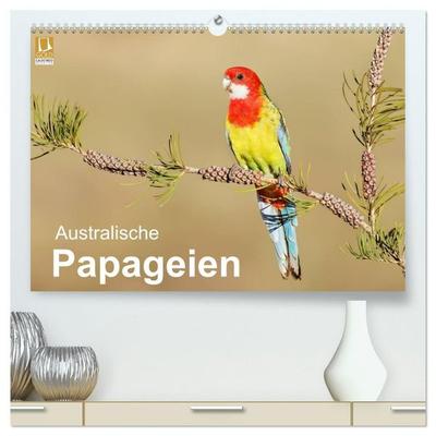 Australische Papageien (hochwertiger Premium Wandkalender 2027 DIN A2 quer), Kunstdruck in Hochglanz