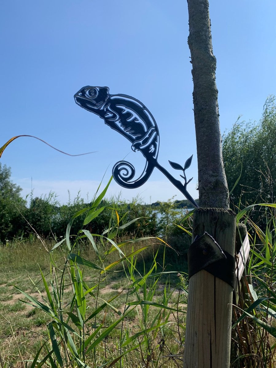 Metalen tuin decoratie De Kameleon