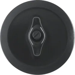 Hager Zentralstück WTW1000BG